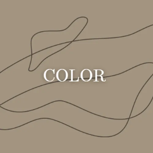 COLOR- coloracion premium ALFAPARF//SCHWARZKOPF  retoque de raiz hasta 2 cm , mas lavado libre de metales pesados para que el color no se oxide e incluye brushing