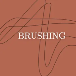 Styling & Brushing Premium 
