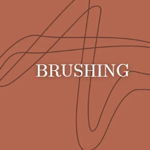 Styling & Brushing Premium 