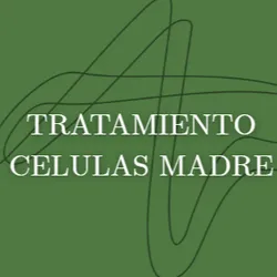 Reconstrucción con Células Madre (Semi di Lino Cellula Madre)Tratamiento de regeneración profunda con células madre de Argán. Multiplica la belleza del cabello desde el interior.Este es tu "servicio estrella" de nutrición. Las ampollas de Células Madre son pura tecnología.