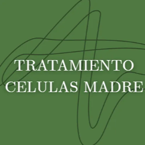 Reconstrucción con Células Madre (Semi di Lino Cellula Madre)Tratamiento de regeneración profunda con células madre de Argán. Multiplica la belleza del cabello desde el interior.Este es tu "servicio estrella" de nutrición. Las ampollas de Células Madre son pura tecnología.