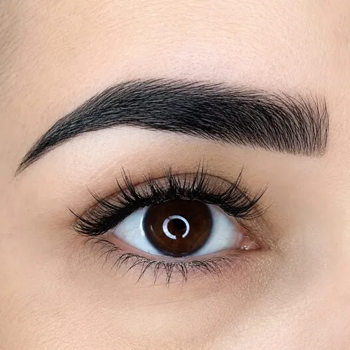 Micropigmentacion de cejas 
