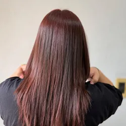 Color + nutrición + corte
