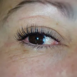Extensiones clásicas 1x1