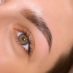 Laminado de Cejas