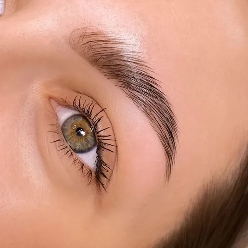 Laminado de Cejas