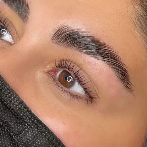 Nutrición de Cejas