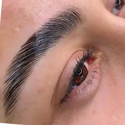 Brow lamination +Perfilado+ nutricion