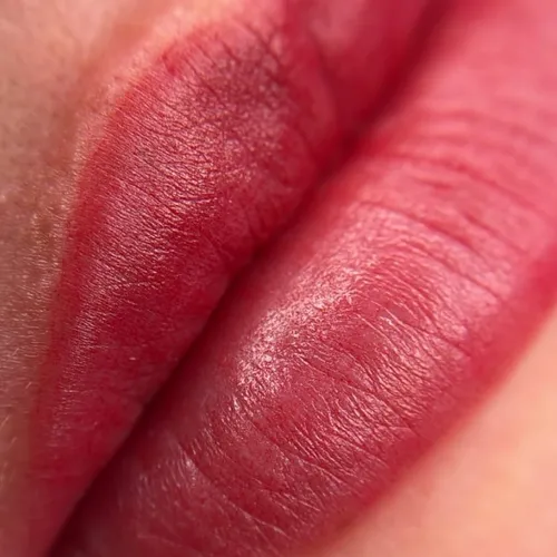 Micro labial