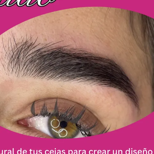 Diseño y perfilado 