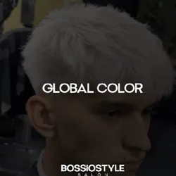 H.   Global color