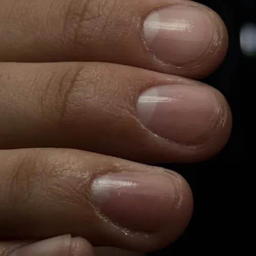 Manicuria basica