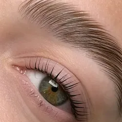 Laminado de cejas