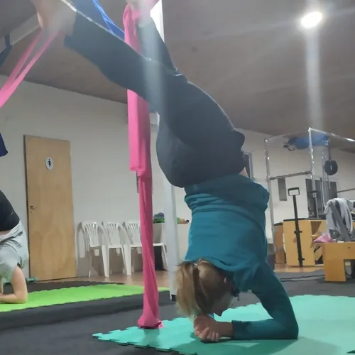 Reformer y areal