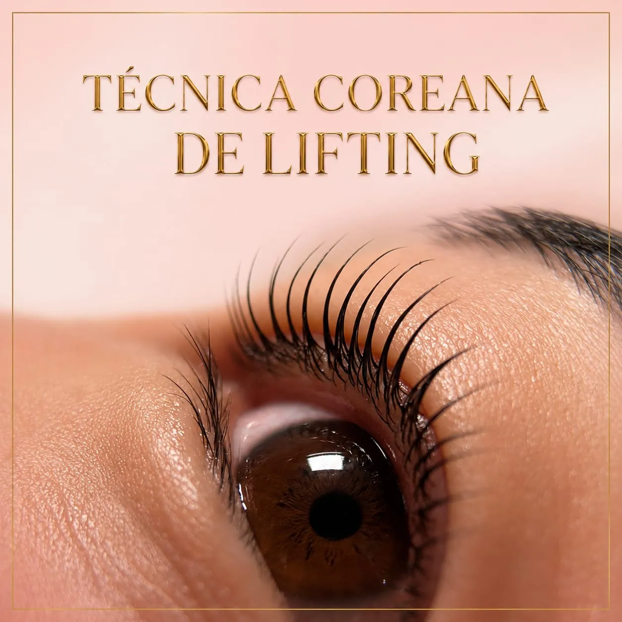 TÉCNICA COREANA DE LIFTING