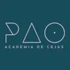 PAO • Academia de Cejas