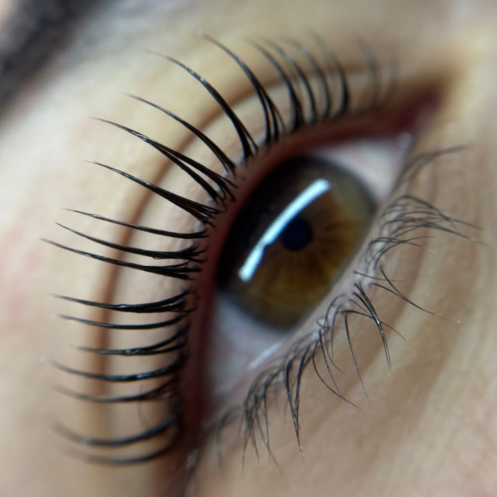 Logo de mirame bien lash+brows