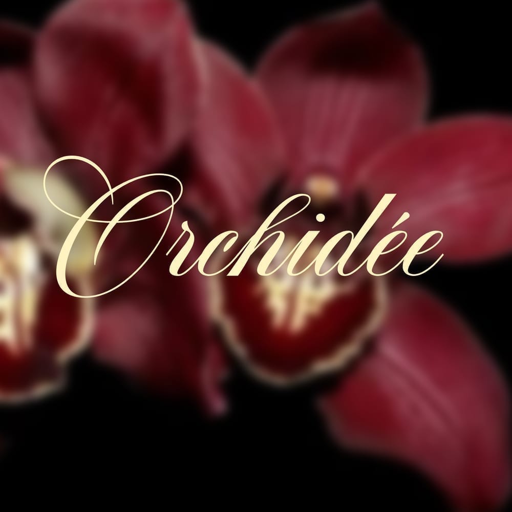 Orchidee ju