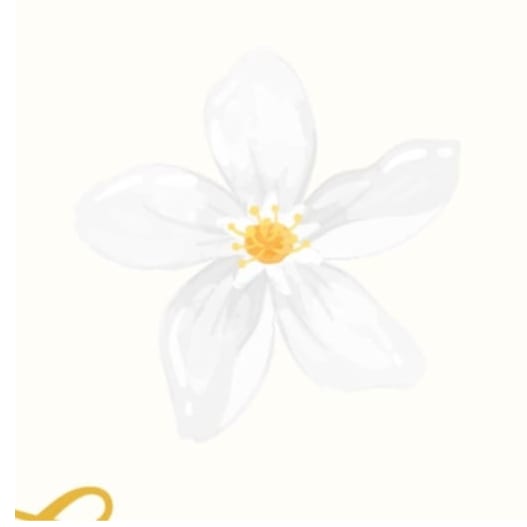 Logo de Jazminestudio