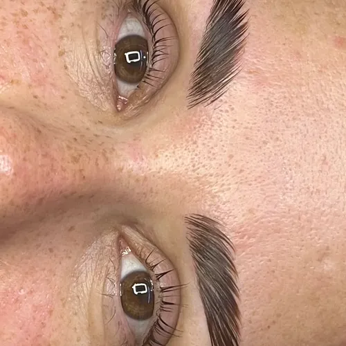 Laminado nutritivo de cejas 