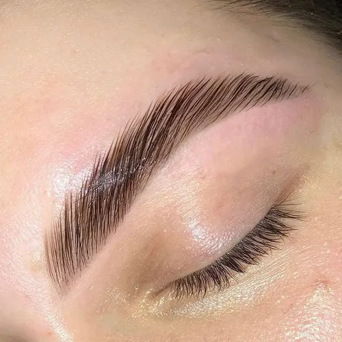 Cejas 