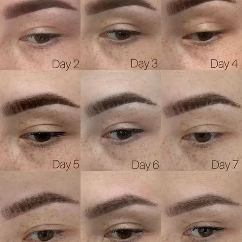 Procesos día a día de cicatrización. De cejas