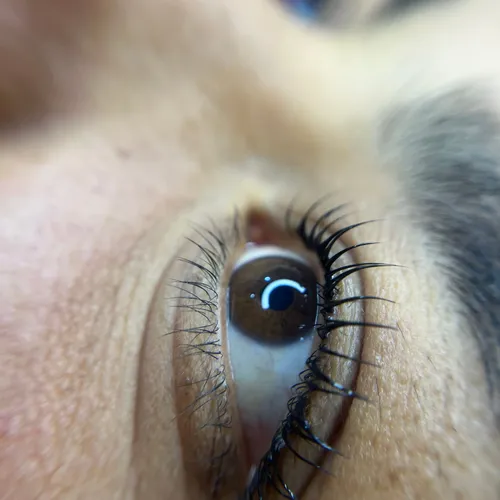 Pro Lash Lifting 