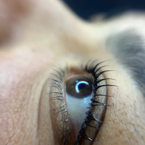 Pro Lash Lifting 